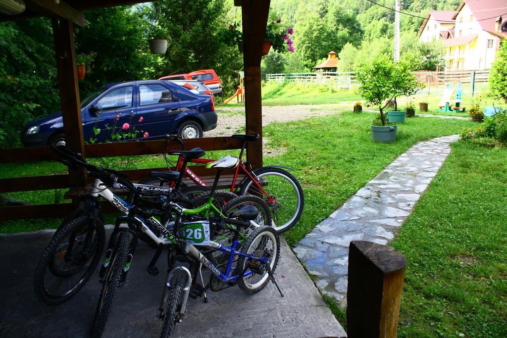 ホテルVila Sucu Poiana Mărului エクステリア 写真