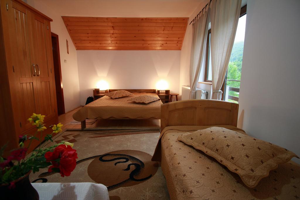 ホテルVila Sucu Poiana Mărului 部屋 写真