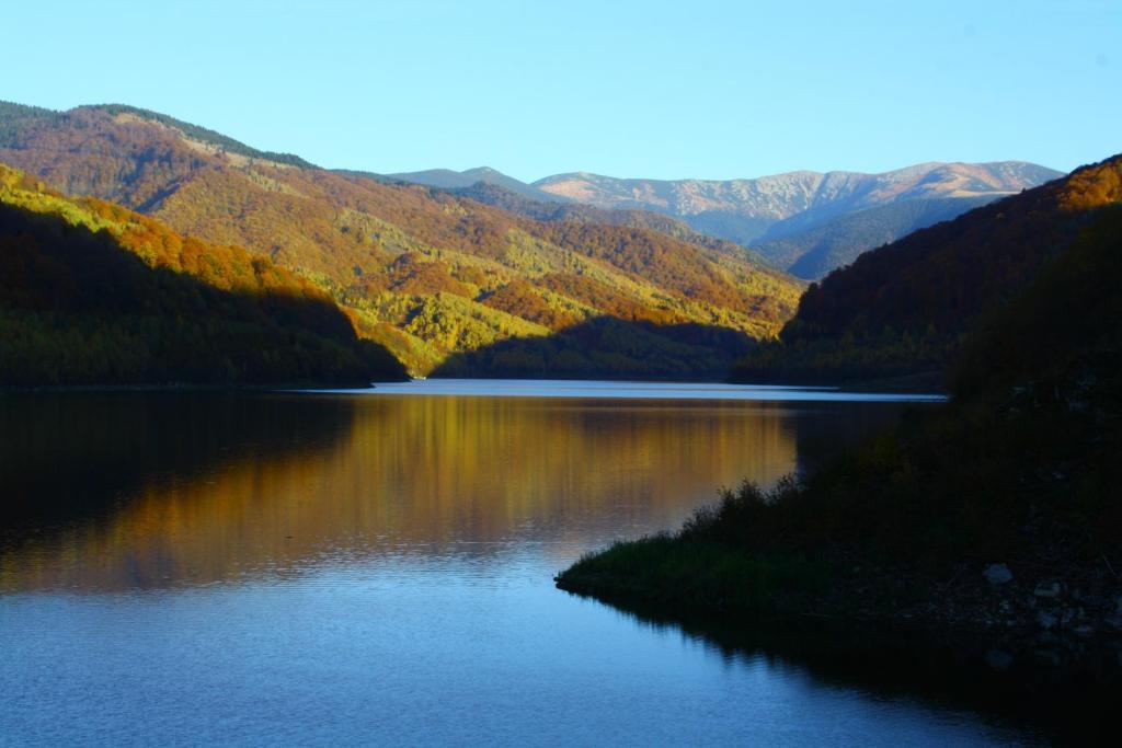 ホテルVila Sucu Poiana Mărului エクステリア 写真